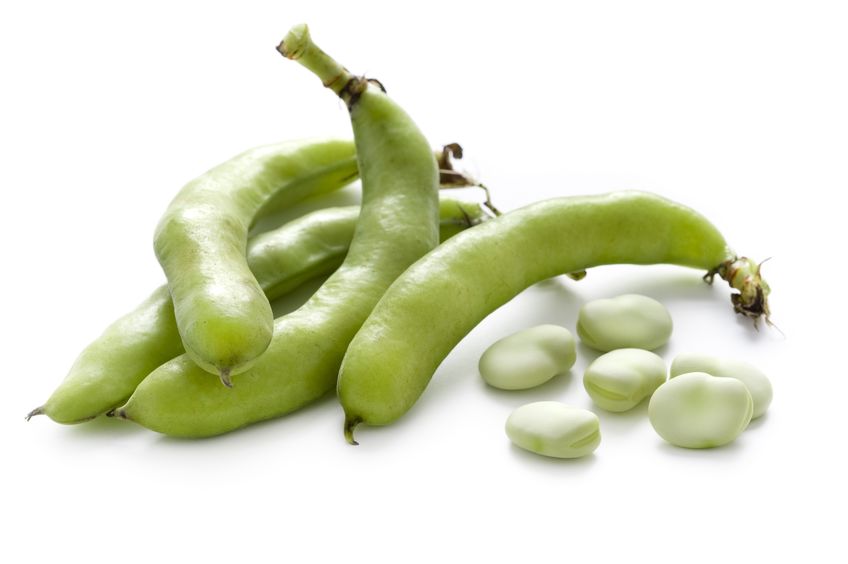 Bakla